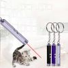 Pointer Interactive Cat Chase Toy, Red Light Pointer Training Tool, Pet Supplies