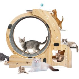 Cat Wheel 6-in-1 Cat Exercise Wheel,Upgraded Cat Wheel Exerciser for Indoor Cats,Large Cat Treadmill,Cat Running Wheel with Silent Wheel