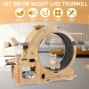 Cat Wheel 4-in-1 Cat Exercise Wheel,Upgraded Cat Wheel Exerciser for Indoor Cats,Large Cat Treadmill,Cat Running Wheel with Silent Wheel