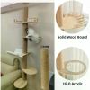 Cat Tower from Floor to Ceiling, Equipped with Scraping Pillars, Comfortable Bed,Observation Deck,Space Capsule 5-Layer cat Tree