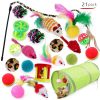 21 PCS Cat Toys Set Interactive For Indoor Cats With Cat Tunnel & Toys Balls & Crinkle Balls &etc.