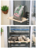 Cute Smart Small Pet Kitty Large Cat Dog Wall Ledge Patio Enclosures Outside Bed Hammock Seat Sil Mounted Cat Window Perch