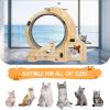 Cat Wheel 6-in-1 Cat Exercise Wheel,Upgraded Cat Wheel Exerciser for Indoor Cats,Large Cat Treadmill,Cat Running Wheel with Silent Wheel