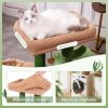 Cactus Cat Tree 34 Inches Cute Cat Tower with Padded Top Perch, Comfy Hammock, Private Condo, Fully Scratching Post and Dangling