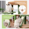 Cactus Cat Tree Cat Tower with Sisal Covered Scratching Post and Cozy Condo Cat Climbing Stand with Plush Perch &Soft Hammock for Indoor Cats(Minimum