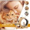 Cat Wheel 4-in-1 Cat Exercise Wheel,Upgraded Cat Wheel Exerciser for Indoor Cats,Large Cat Treadmill,Cat Running Wheel with Silent Wheel