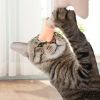 Cat Teaser Toy; Tiny Finger Hands Interactive Cat Toys For Kitten Cats