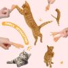 6 Pack Mini Hands for Cats, Tiny Hands for Cats, Crossed Cat Mini Hands