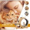 Cat Wheel 6-in-1 Cat Exercise Wheel,Upgraded Cat Wheel Exerciser for Indoor Cats,Large Cat Treadmill,Cat Running Wheel with Silent Wheel