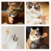 6 Pack Mini Hands for Cats, Tiny Hands for Cats, Crossed Cat Mini Hands