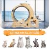 Cat Wheel 4-in-1 Cat Exercise Wheel,Upgraded Cat Wheel Exerciser for Indoor Cats,Large Cat Treadmill,Cat Running Wheel with Silent Wheel