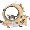 Cat Wheel 4-in-1 Cat Exercise Wheel,Upgraded Cat Wheel Exerciser for Indoor Cats,Large Cat Treadmill,Cat Running Wheel with Silent Wheel