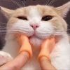 Cat Teaser Toy; Tiny Finger Hands Interactive Cat Toys For Kitten Cats