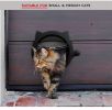 Pet cat door free access to the doorway suitable for installation of glass doors wooden doors iron doors