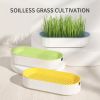 Hydroponic Cat Grass Box Plastic Tray Cat Grass Growing Kit Cat Grass Planter Hydroponic Cat Grass Box Cat Grass Sprouter Tray Interactive Cat Toy Win