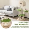 55 Inch Tall Cat Climbing Stand with Sisal Scratching Posts and Soft Cat Bed for Indoor Kittens