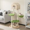 55 Inch Tall Cat Climbing Stand with Sisal Scratching Posts and Soft Cat Bed for Indoor Kittens