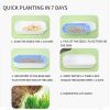 Hydroponic Cat Grass Box Plastic Tray Cat Grass Growing Kit Cat Grass Planter Hydroponic Cat Grass Box Cat Grass Sprouter Tray Interactive Cat Toy Win